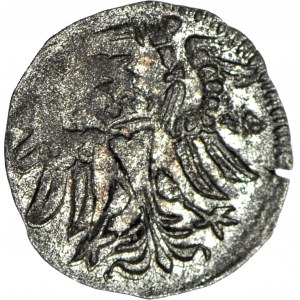 R-, Zygmunt II August Denar 1558, Gdańsk, ozdobny styl, R4