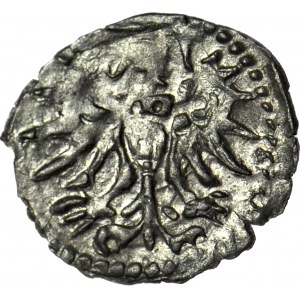 R-, Sigismund I the Old, Denarius 1555, Elblag, R3