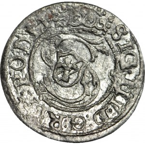 Sigismund III. Vasa, Schellfisch 1597, Riga, gemünzt