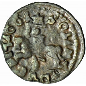 John Casimir, Lithuanian Shelby 1661, period forgery