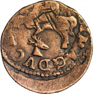 RRR- Jan Kazimierz, Szeląg litewski 1666? Berzona, znak Kryszpin