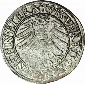 R-, Schlesien, Friedrich II, Pfennig 1543, BRZEG, Datum rechts, breiter Bart