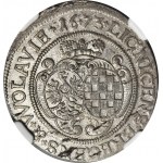 Slezsko, Ludwika Anhalcka, 6 krajcarů 1673, Brzeg, raženo