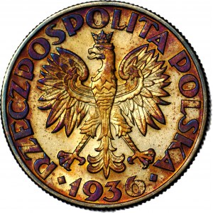 5 gold 1936 Sailing ship, mint, sensational patina