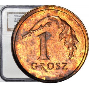 RRR-, 1 penny 2000, SAMPLE BRONZE, thicker disc, extreme rarity