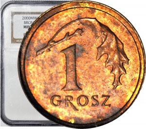RRR-, 1 grosz 2000, PRÓBA BRĄZ, grubszy krążek, ekstremalna rzadkość