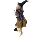 The witch in the black hat