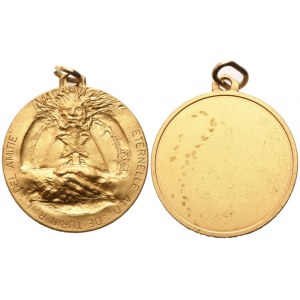 Medaglia Eternelle Alo. De Turin R. L. De L' Amitié (35,2 mm)