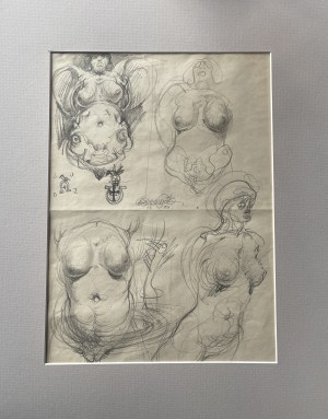 Franciszek Starowieyski, Studia 4 aktów kobiecych
