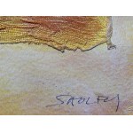 Wojciech Sadley, Orange Komposition