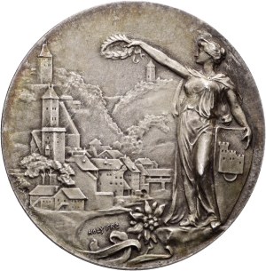 Switzerland - Fribourg - Silver medal 1905 - Fribourg, Tir cantonal Fribourgeois - Switzerland, Swiss Shooting Medal