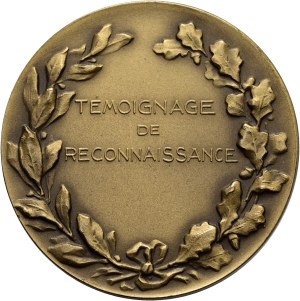Switzerland - Geneva / Genève - Bronze medal 1929 - Carouge, Centenaire des carabiniers 1829-1929 - Switzerland, Swiss Shooting Medal