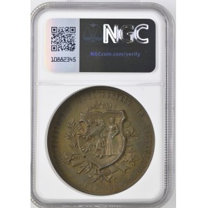 Switzerland - Thurgau - Copper medal 1890 - Frauenfeld, Federal Shooting Festival - NGC MS 62 BN - Switzerland, Swiss Shooting Medal