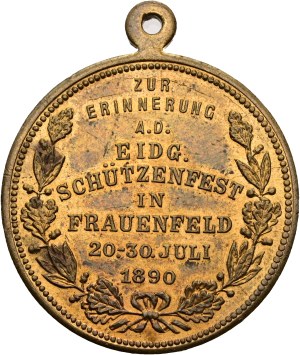 Switzerland - Thurgau - Bronze medal 1890 - Frauenfeld, Federal Shooting Festival - Switzerland, Swiss Shooting Medal