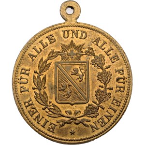 Schweiz - Thurgau - Bronzemedaille 1890 - Frauenfeld, Eidgenössisches Schützenfest - Switzerland, Swiss Shooting Medal