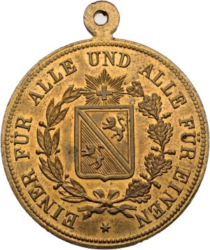 Switzerland - Thurgau - Bronze medal 1890 - Frauenfeld, Federal Shooting Festival - Switzerland, Swiss Shooting Medal