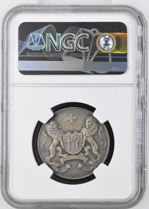 Switzerland - Thurgau - Silver medal 1922 - Kreuzlingen, Thurgau Cantonal Shooting Festival - NGC MS 65 - Switzerland, Swiss Shooting Medal