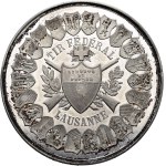 Switzerland - Vaud - White metal medal 1876 - Lausanne, Eidgenössisches Schützenfest / Tir fédéral - Switzerland, Swiss Shooting Medal