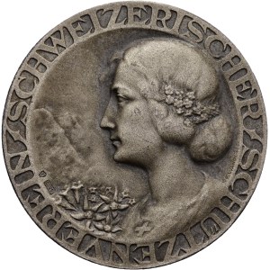 Schweiz - Silbermedaille o. J. - Schweizerischer Schützenverein, Schweizerische Feldmeisterschaft