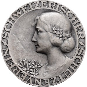 Schweiz - Silbermedaille o. J. - Schweizerischer Schützenverein, Schweizerische Feldmeisterschaft 300 m