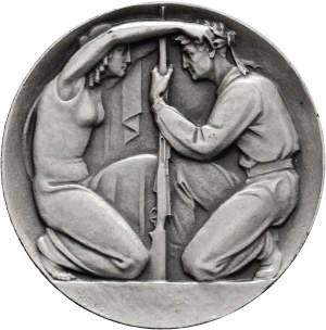 Switzerland - Silver medal n.d. - Swiss Smallbore Shooting Association, honorary award - Switzerland, Swiss Shooting Medal