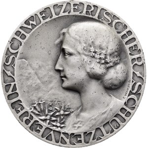 Schweiz - Silbermedaille o. J. - Schweizerischer Schützenverein, Schweizerische Feldmeisterschaft Pistole