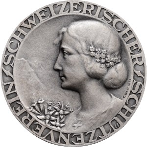 Switzerland - Silver medal n.d. - Swiss Shooting Club, Swiss Field Championship 300 m - Switzerland, Swiss Shooting Medal