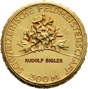Switzerland - gilded silver medal n.d. - Swiss Shooting Association, Swiss Field Championship 300 m - Switzerland, Swiss Shooting Medal