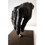 Paz Figares, Untitled