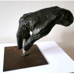 Paz Figares, Untitled