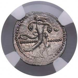 Royaume de Maurétanie (Césarée) Denier AR - Juba II (25 BC- AD 23/24) - NGC MS