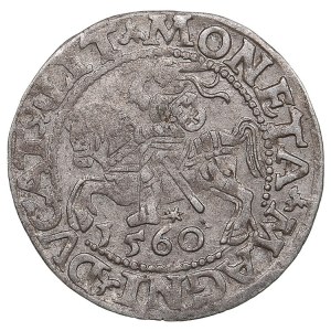 Lithuania, Grand Duchy (Vilnius) AR ½ Groat / Półgrosz 1560 - Sigismund II Augustus (1544-1572)