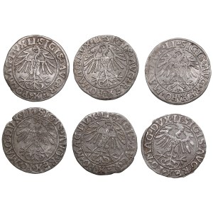 Lithuania, Grand Duchy (Vilnius) AR ½ Groat / Półgrosz - Sigismund II Augustus (1544-1572) (6)