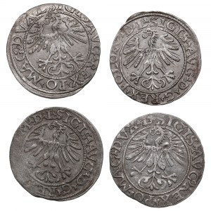 Lithuania, Grand Duchy (Vilnius) AR ½ Groat / Półgrosz - Sigismund II Augustus (1544-1572) (4)