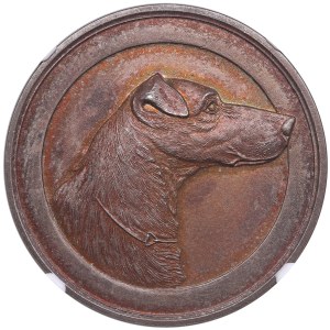 Médaille d'argent du petit prix de Russie ND (1900-1917) - Société russe des amateurs de Fox-Terriers et de Teckels - NGC MS 63