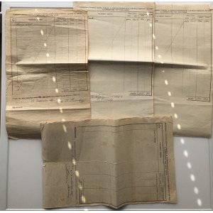 Group of documents: Estonia, mostly fire insurance policy (8)