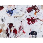 Agnieszka Zapotoczna (ur. 1994, Wrocław), I'm not dreaming, 2025