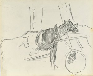 Stanisław KAMOCKI (1875-1944), Szkice konia na popasie, lato 1903