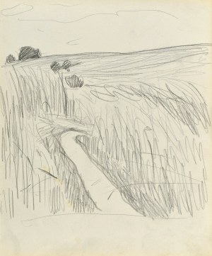 Stanisław KAMOCKI (1875-1944), Polna droga, lato 1903