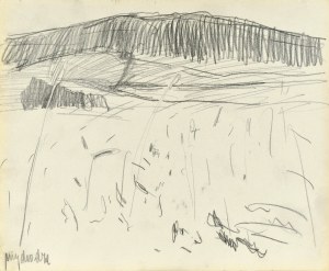 Stanisław KAMOCKI (1875-1944), Przy drodze, lato 1903