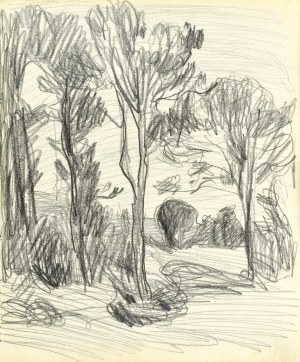 Stanisław KAMOCKI (1875-1944), Drzewa, lato 1903