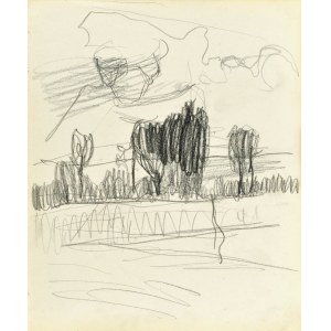 Stanisław KAMOCKI (1875-1944), Paysage avec peupliers, VI 1903