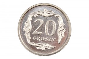 20 pennies 2000