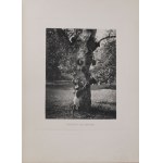 Potocki Józef hr. - Notatki myśliwskie z Dalekiego Wschodu, T.II Cejlon, 1896 [il. P. Stachiewicz]