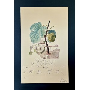 Salvador DALI (1904-1989), Flordali, Homme Figuier (Człowiek Figa) 1969 / 1970