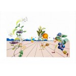 Salvador Dalí (1904 - 1989), Pamplemousse Érotique z cyklu Flordali - Les Fruits