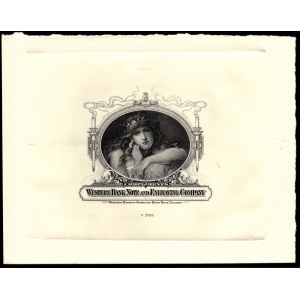 United States of America. ABNC Vignette Circa 1920s V37622