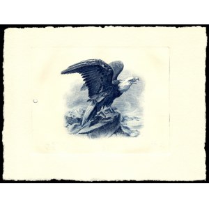 United States of America. ABNC Vignette Bald Eagle Circa 1890s