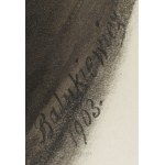 Józef Balukiewicz (1831-1907), Para portretów, 1903
