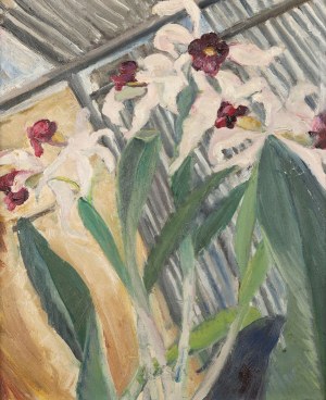 Michalina Krzyżanowska (1883-1962), Storczyki 4, 1956